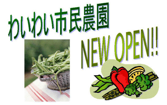 new open